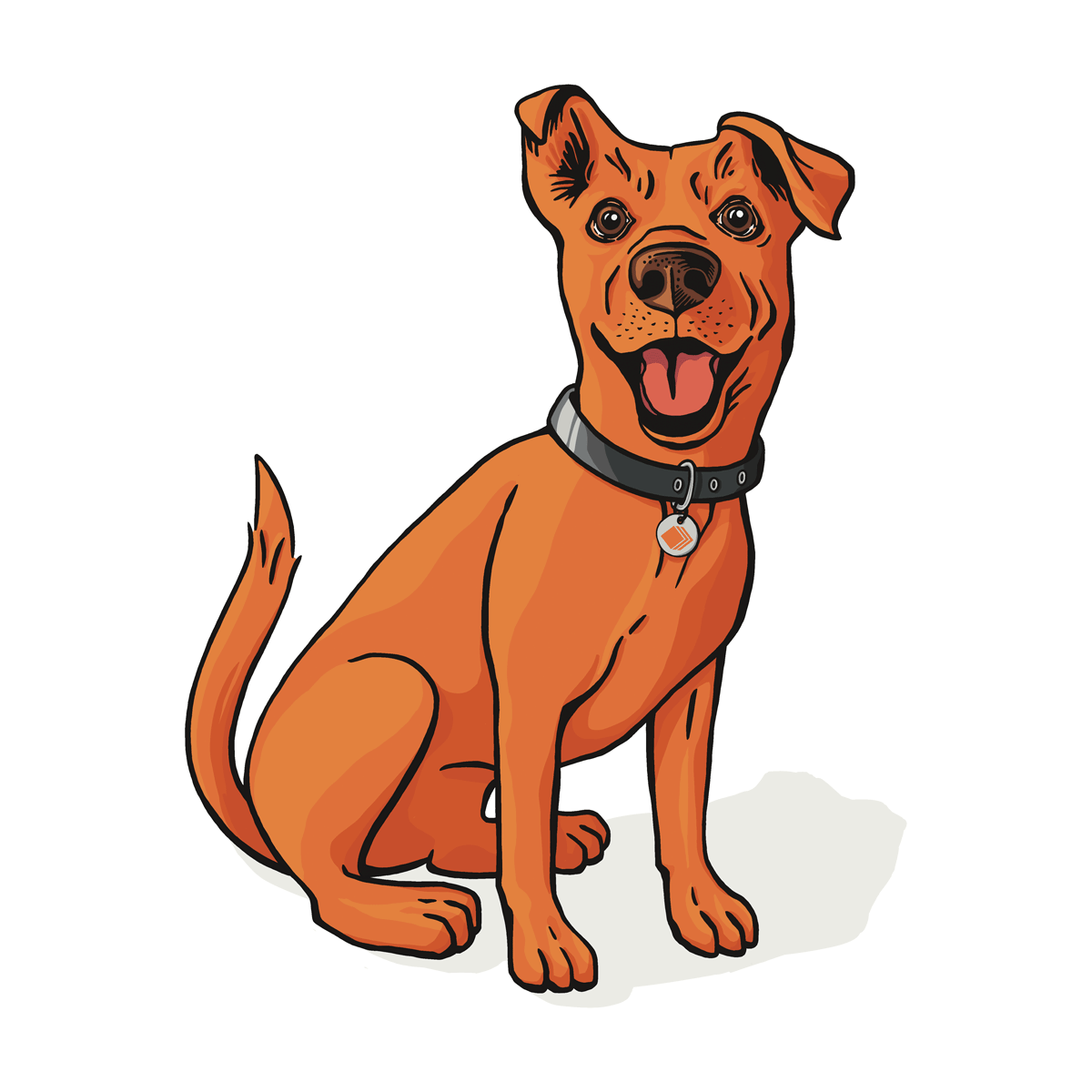 Seek Search & Rescue Mascot Icon