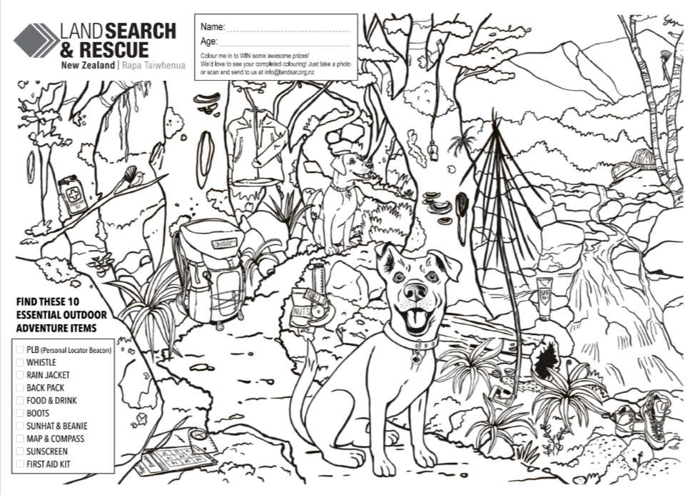 Colouring in competition